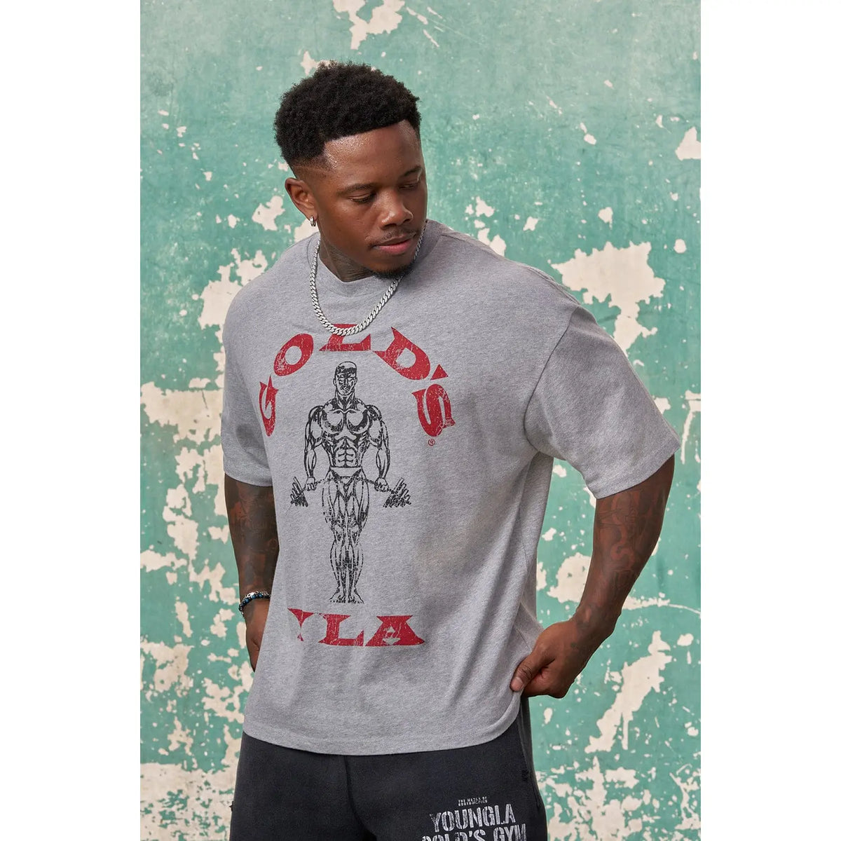 4213 - Gold's Iron Legacy Icon Tees