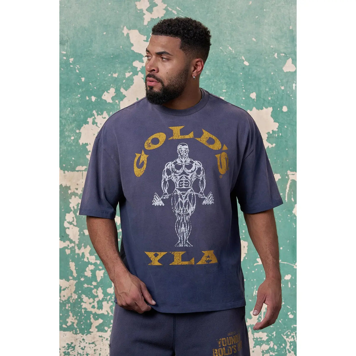 4213 - Gold's Iron Legacy Icon Tees
