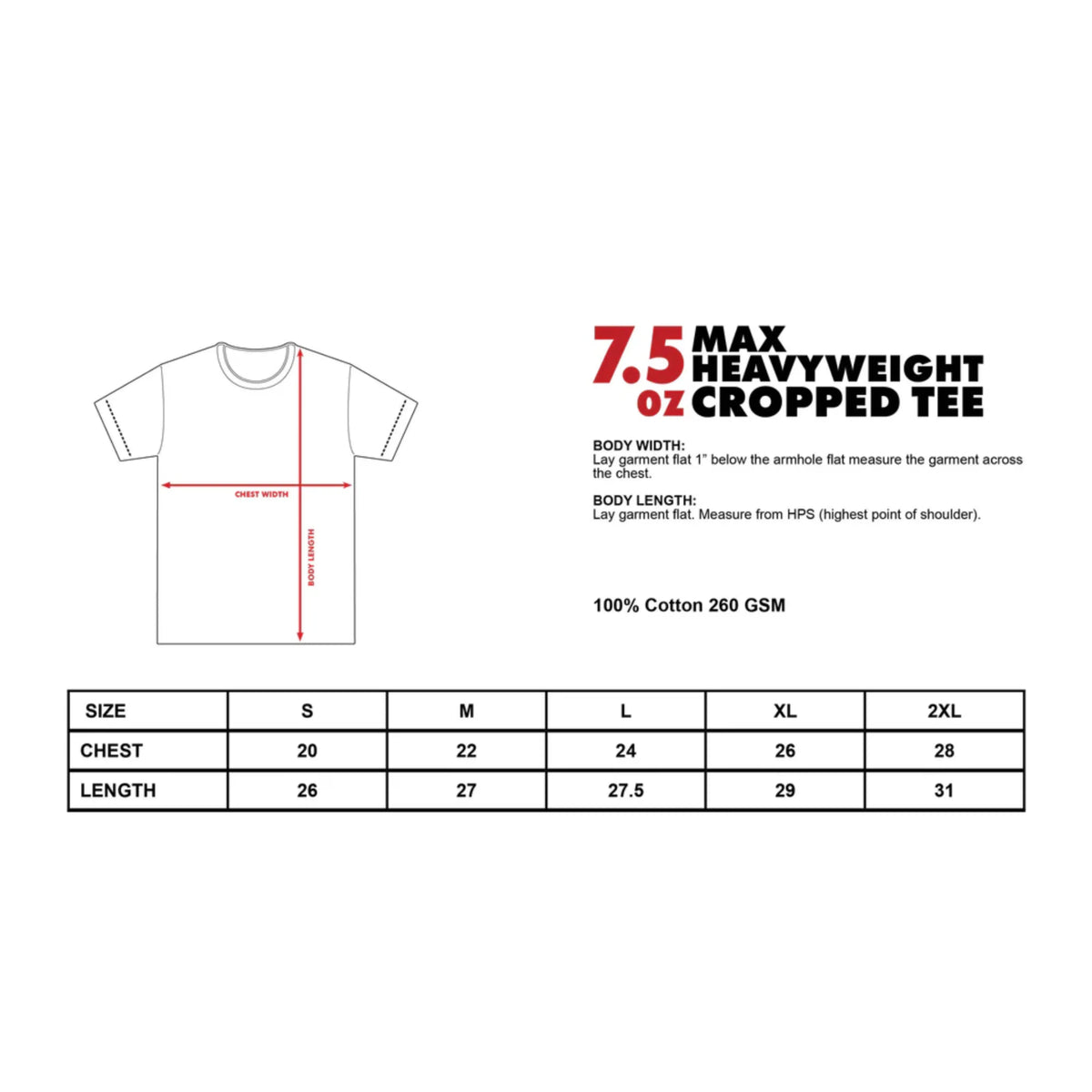 Maddman Tyson Inspired Vintage Graphic T-shirt Heavy Cotton Tee Basketball 90 s Styled Shirt Hiphop Vibes Y2K Aesthetic Throwback Classic Big Face Celebrity Tee