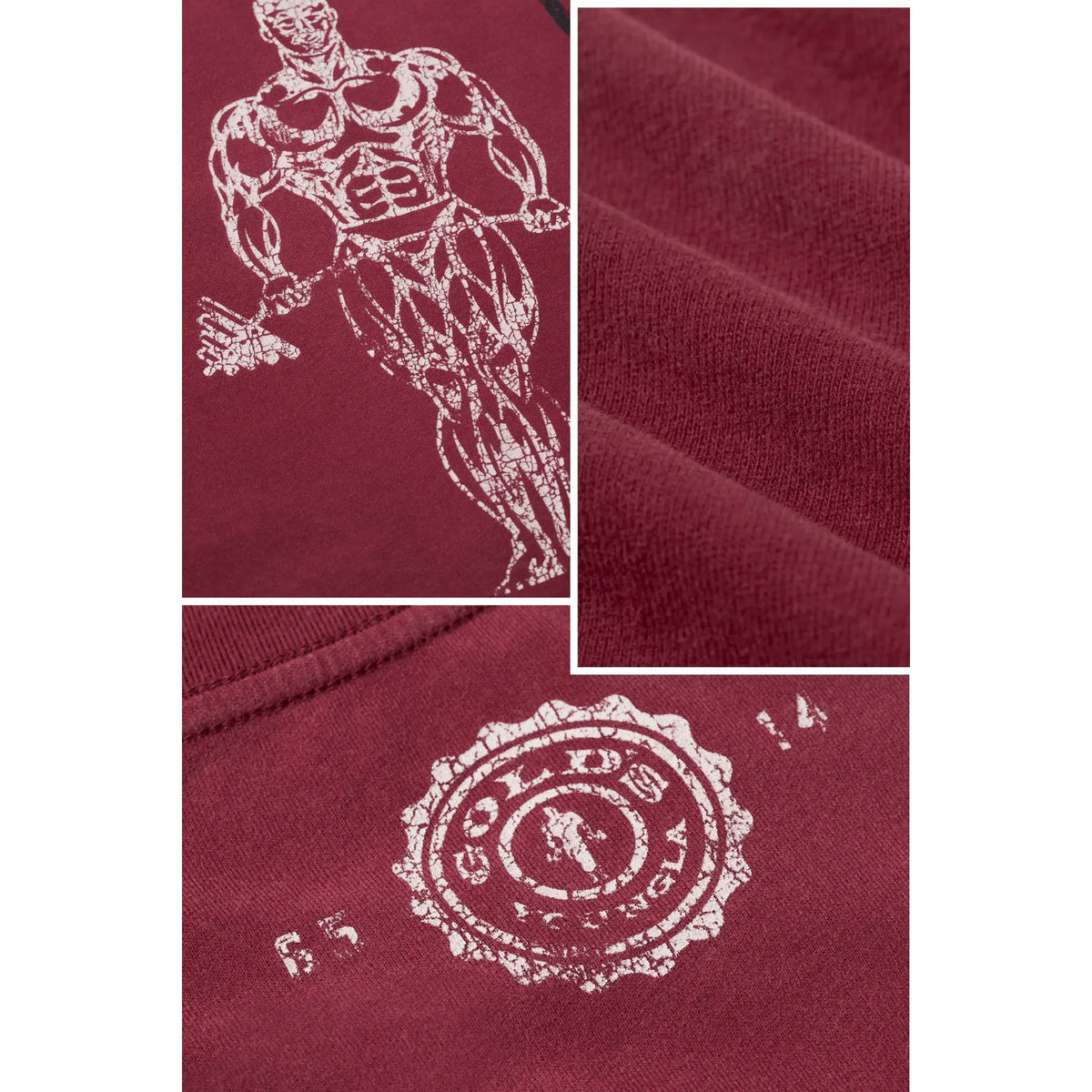 4213 - Gold's Iron Legacy Icon Tees